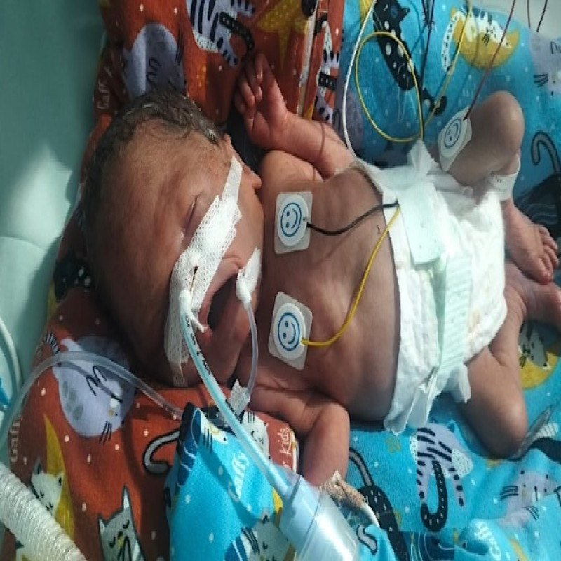 Urgent!! Cathaline Berharap Mukzizat Untuk Kesembuhan