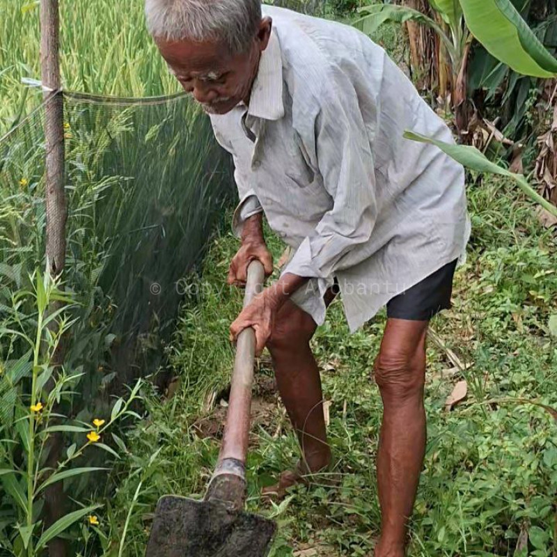 Tubuh Semakin Lemah! Bantu Lansia Sebatangkara Menyambung Hidup