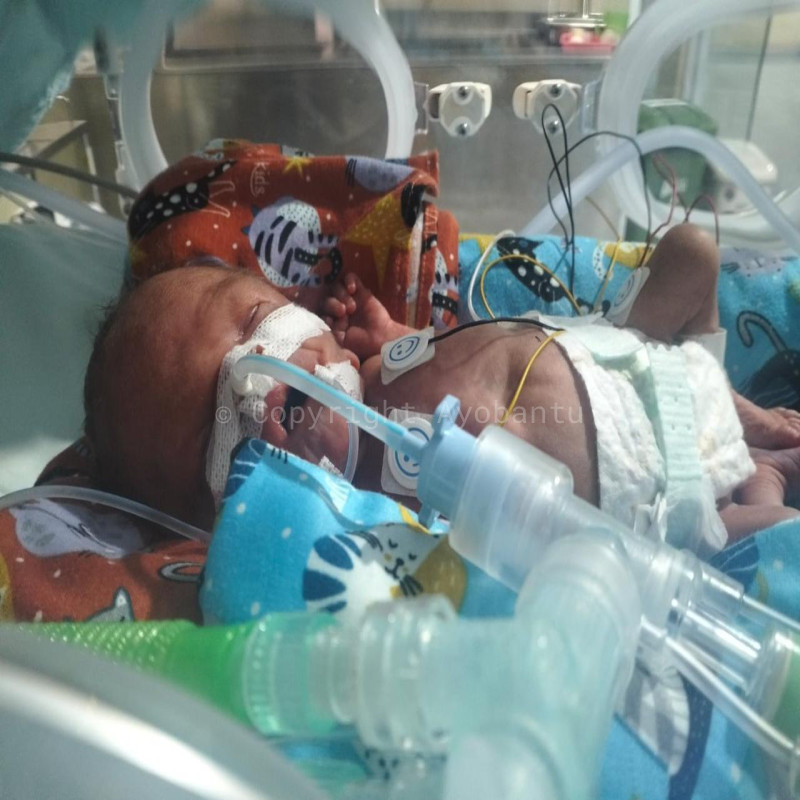 Urgent!! Cathaline Berharap Mukzizat Untuk Kesembuhan