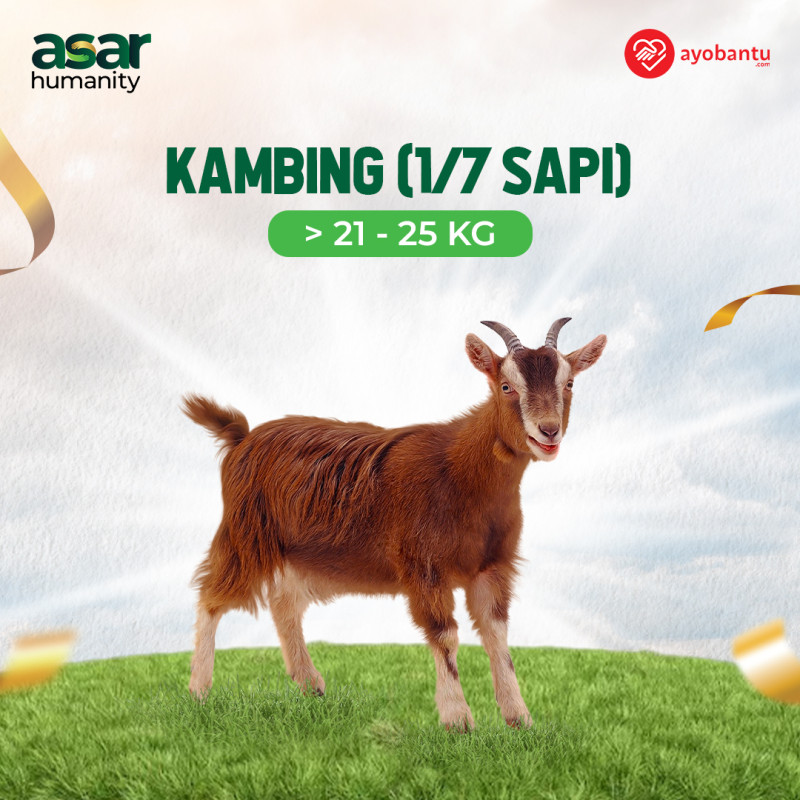 Qurban Pelosok Negeri