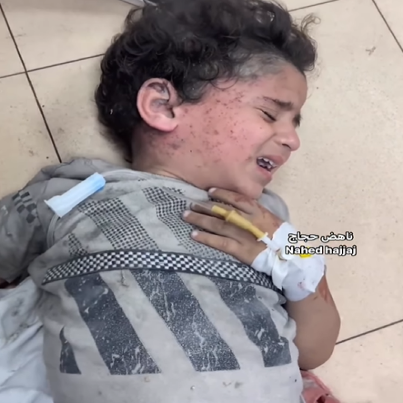Sedekah Pangan Kuatkan Gaza di Pengungsian
