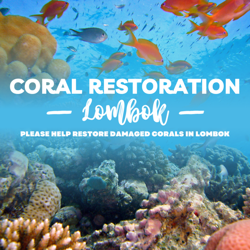 Perbaikan Karang Rusak di Laut Lombok / Coral Restoration Lombok