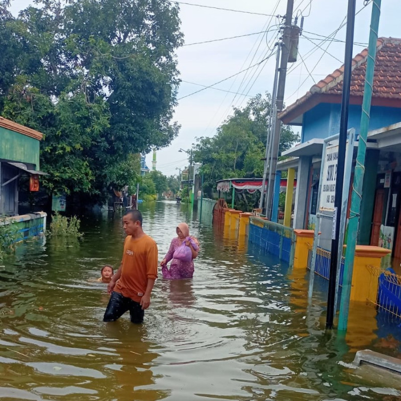 Banjir Kian Meluas, Bantu Selamatkan Warga Terdampak Banjir Demak, Jawa Tengah