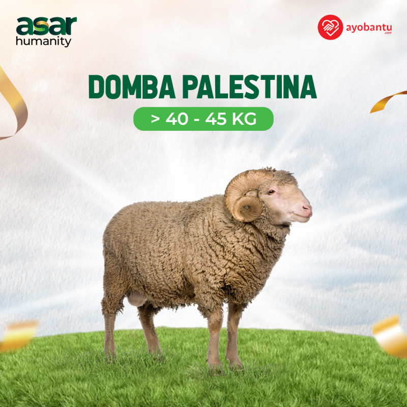 Qurban Extra Berkah, Tebar Hewan Qurban Hingga Ke Palestina.